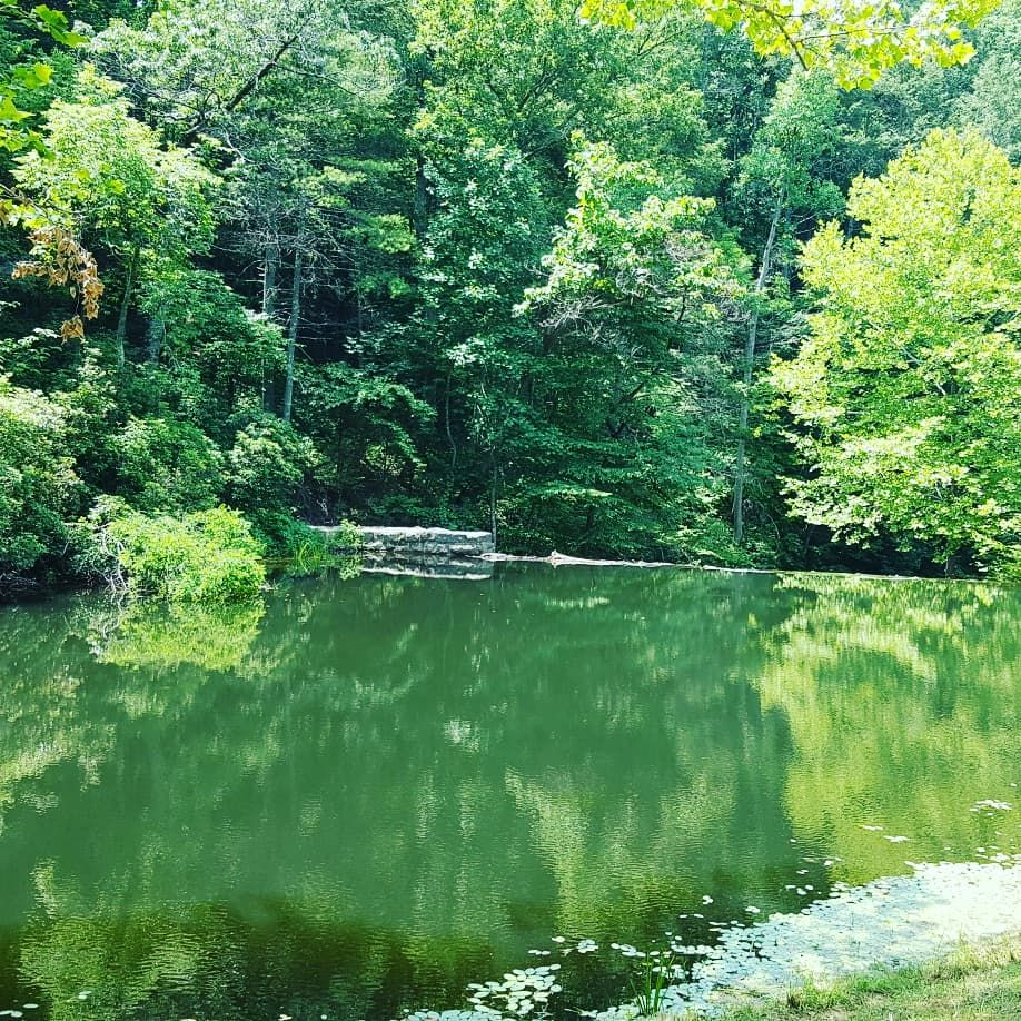 Otter Lake Falls via Blue Ridge Parkway Motorcycle Diaries